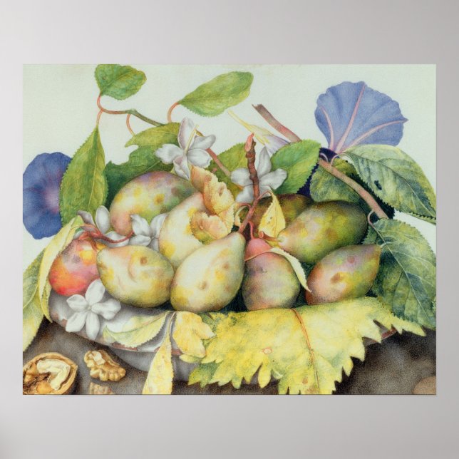 Poster Still life with Plums, Walnuts et Jasmine (w/c on (Devant)