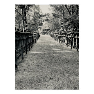 Poster Stone Lanterns Along a Shrine Approach in Japan