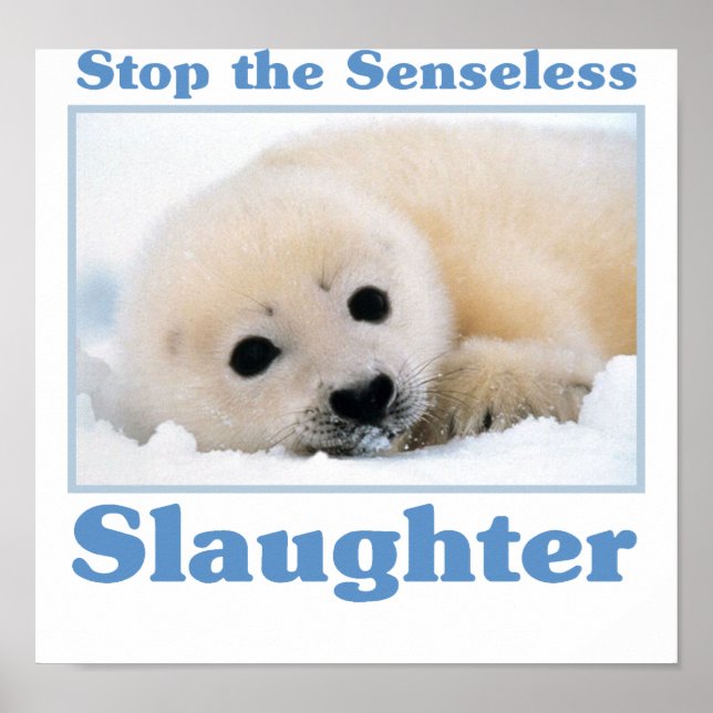 Poster Stop slaughter-seals (Devant)