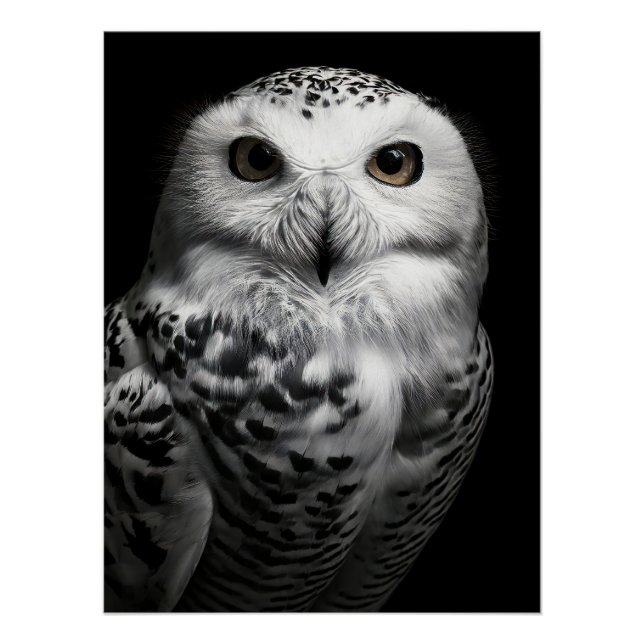Poster Striking Snowy Owl Fine Art Print | High Contrast (Devant)