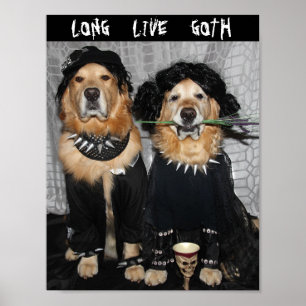 Poster Style Goth Retriever Golden