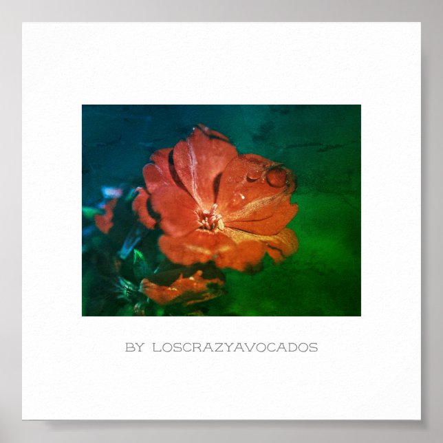 Poster stylisé rouge vert Geranium (Devant)