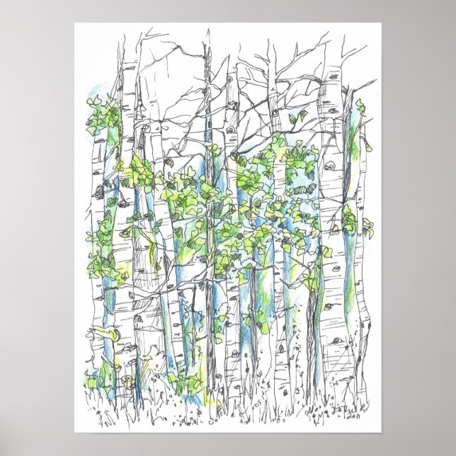 Poster Stylo de croissance de l'arbre d'Aspen et dessin d (Devant)