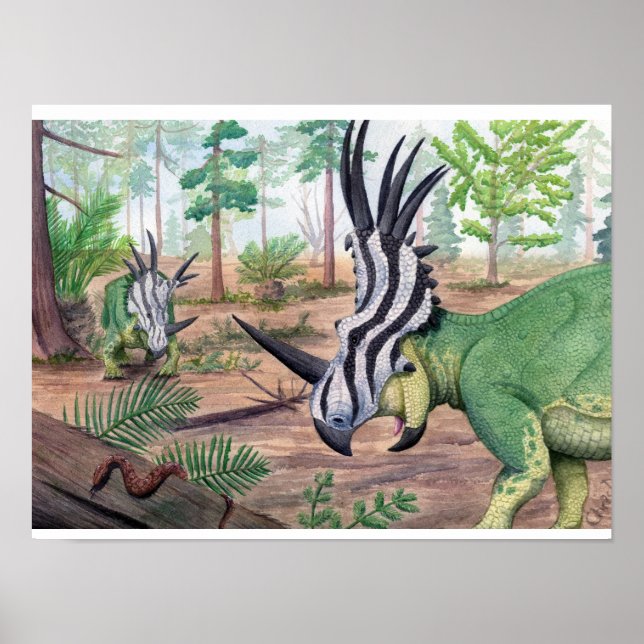 Poster Styracosaurus (Devant)