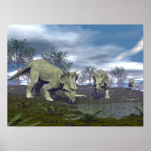 Poster Styracosaurus dinosaures allant à l'eau - rendu 3D