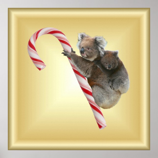 Poster Sucre de canne de Noël Koalas (Devant)