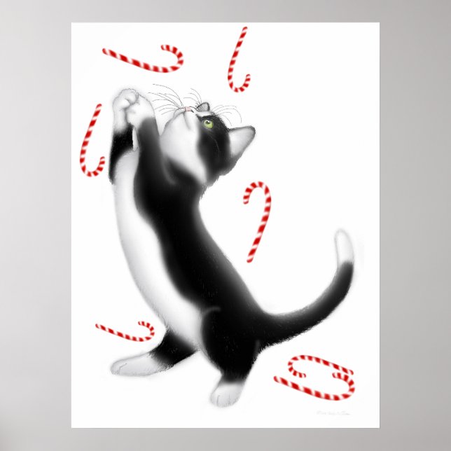 Poster Sucre de canne Jouets en chats Imprimer (Devant)