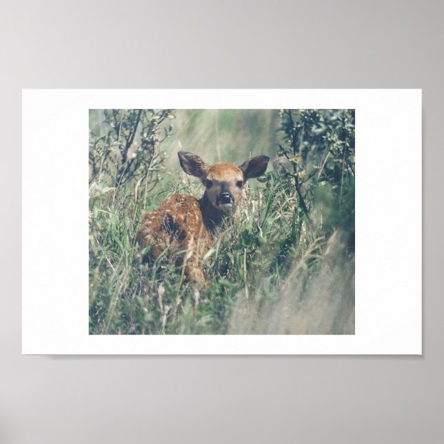 Poster Suivez-Moi. (Devant)