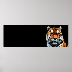 Poster Sumatran Tiger