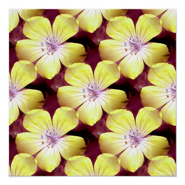 Poster Summery Yellow.... (Devant)