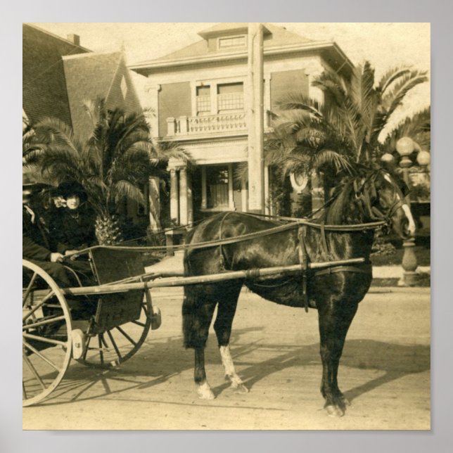 Poster Sunday Best (Devant)