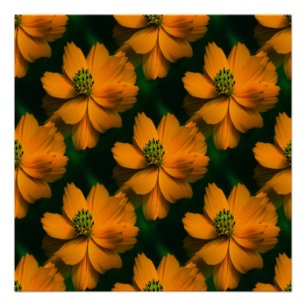 Poster Sunlight Love...