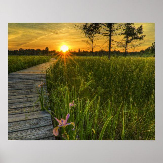 Poster Sunset des Prairies (Devant)