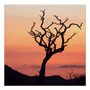 Poster Sunset over Madikwe