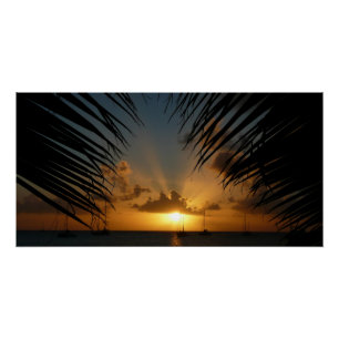 Poster Sunset Through Palm Fronds