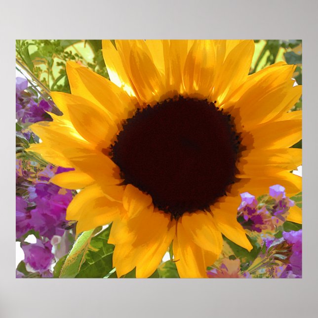 Poster Sunshine Sunflower (Devant)