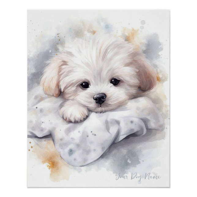 Poster Super mignon ange couchant chiot maltais chien 002 (Devant)