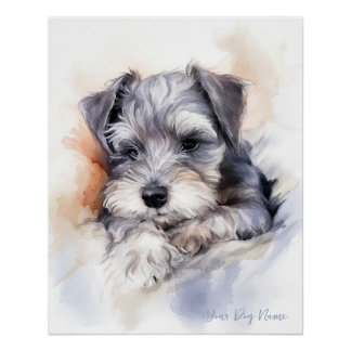 Poster Super mignon ange couchant chiot Schnauzer Chien 0