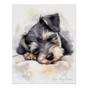 Poster Super mignon ange couchant chiot Schnauzer Chien 0