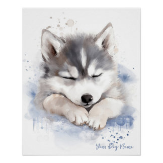 Poster Super mignon ange couché chiot Siberian Husky Chie