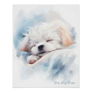 Poster Super mignon ange dormant chiot maltais chien 003