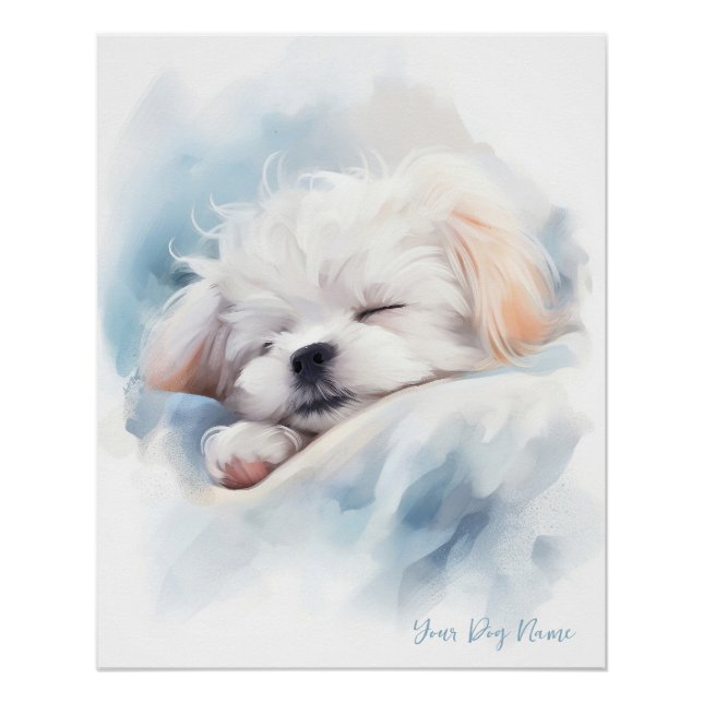 Poster Super mignon ange dormant chiot maltais chien 003 (Devant)