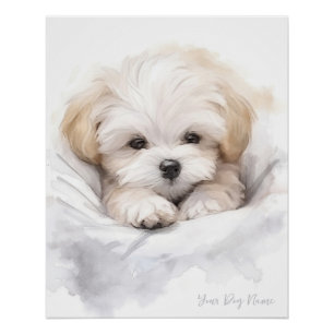 Poster Super mignon ange dormant chiot maltais chien 005