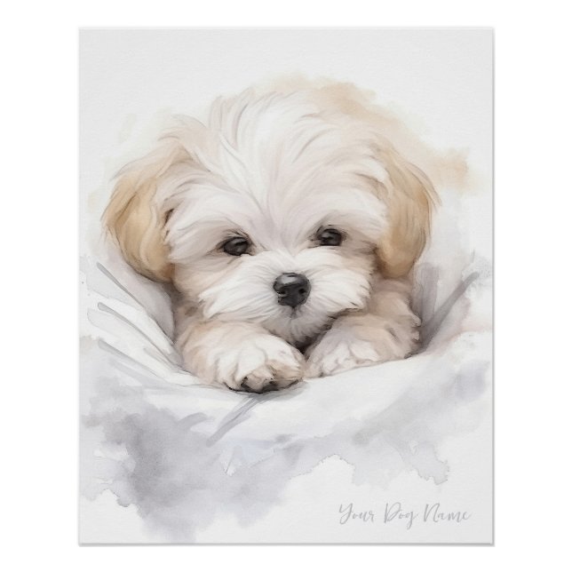 Poster Super mignon ange dormant chiot maltais chien 005 (Devant)