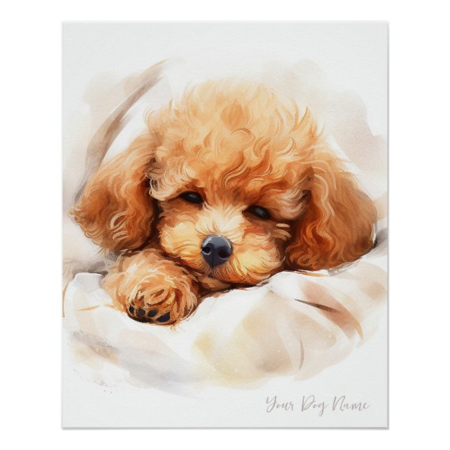 Poster Super mignon ange dormant chiot Poodle Dog 003 (Devant)
