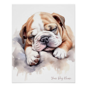 Poster Super mignon ange endormi chiot Bulldog 001 - Wend