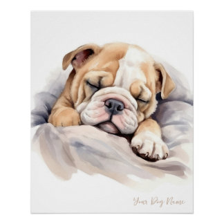 Poster Super mignon ange endormi chiot Bulldog 003 - Wend