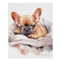 Super mignon ange endormi chiot Français Bulldog 0