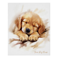 Super mignon ange endormi chiot Golden Retriever