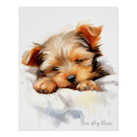 Super mignon ange endormi chiot Yorkshire Terrier