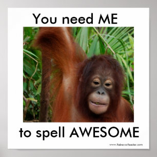 Poster Super : vous avez besoin de moi