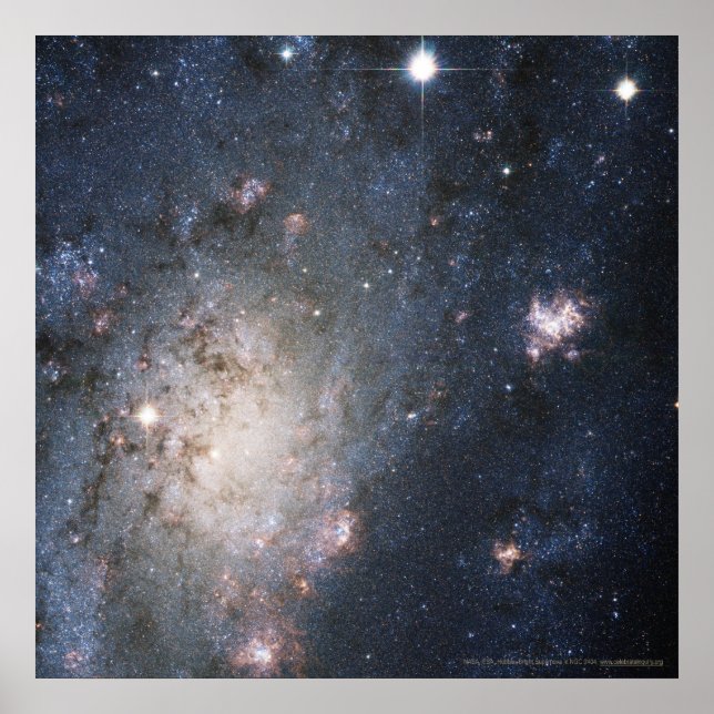 Poster Supernova brillante dans NGC 2403 12x12 (13x13) (Devant)