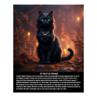Superstition de chat