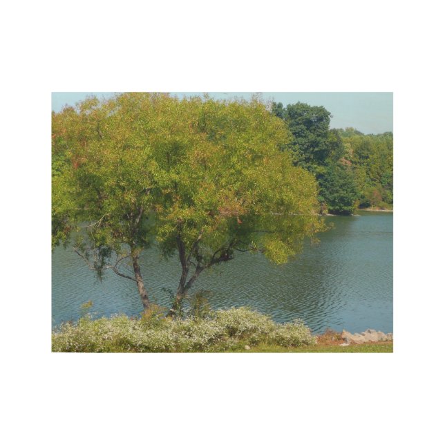 Poster Sur Bois Centennial Lake in Ellicott City Maryland (Devant)