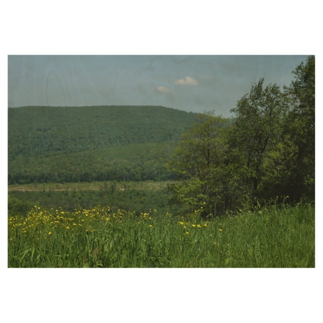 Poster Sur Bois Laurel Highlands Pennsylvania Summer Photography (Devant)