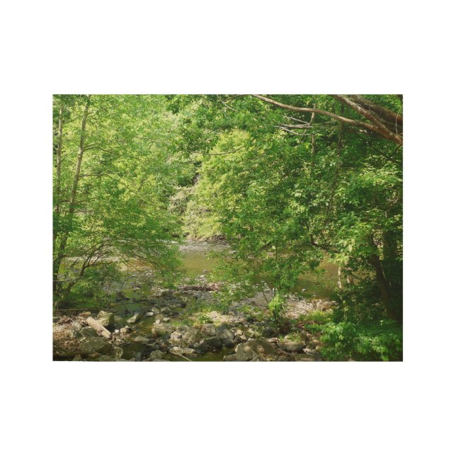 Poster Sur Bois Patapsco River View Maryland Nature Photographie (Devant)