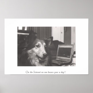 Poster Sur Internet, personne ne connaît votre chien ! !