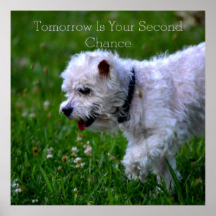 Poster sur la reconstruction demain