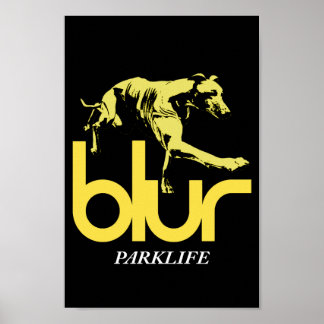 Poster sur la vie de Blur Park