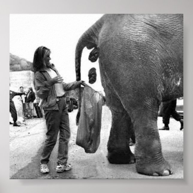 Poster sur l'ancien emploi (Devant)