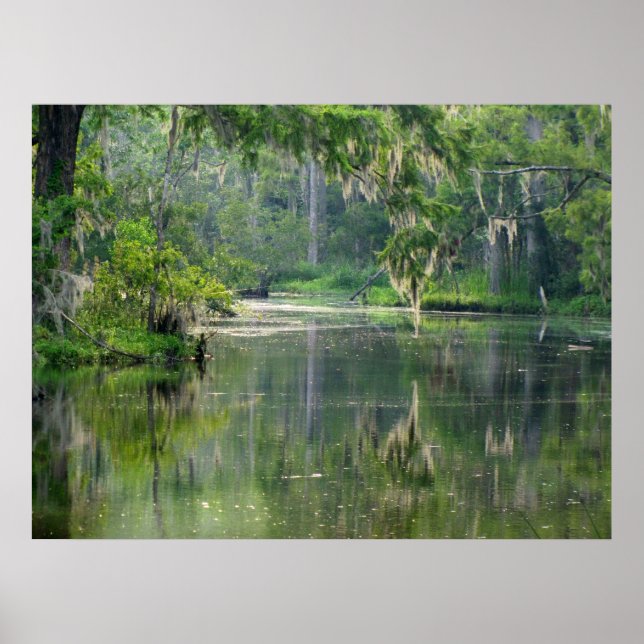 Poster Sur le Bayou (Devant)