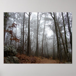 Poster sur le brouillard de la forêt d'hiver
