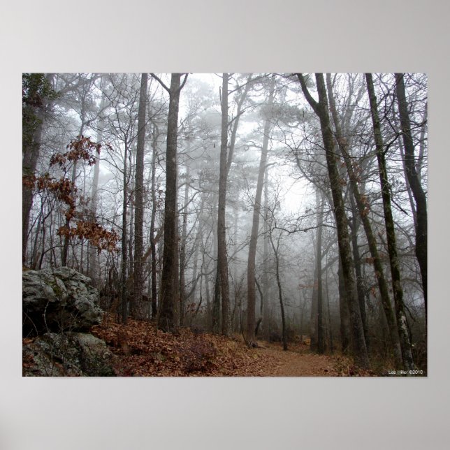 Poster sur le brouillard de la forêt d'hiver (Devant)