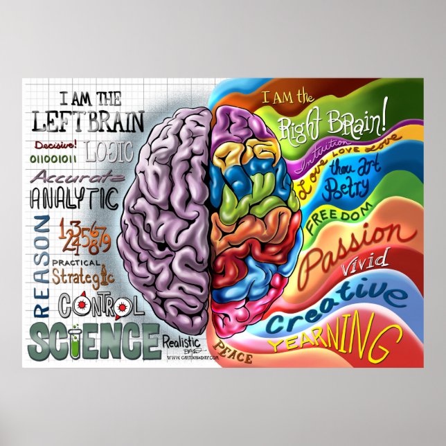 Poster sur le cerveau gauche (Devant)