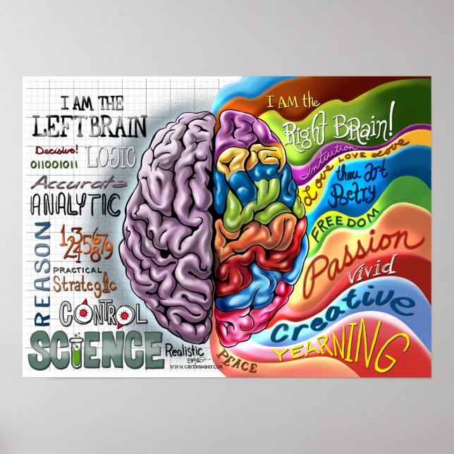 Poster sur le cerveau gauche (Devant)