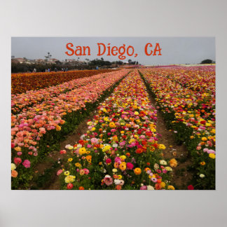 Poster sur le champ de fleurs personnalisable